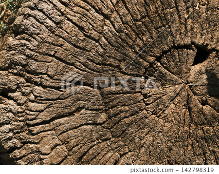 old wooden texture close up old wooden texture close up 142798319