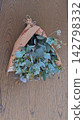 An overhead photograph of a fresh eucalyptus bouquet wrapped in English newspaper, placed on a wooden table. An overhead photograph of a fresh eucalyptus bouquet wrapped in English newspaper, placed on a wooden table. 142798332
