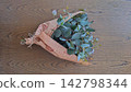 An overhead photograph of a fresh eucalyptus bouquet wrapped in English newspaper, placed on a wooden table. An overhead photograph of a fresh eucalyptus bouquet wrapped in English newspaper, placed on a wooden table. 142798344