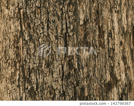 old wooden texture close up old wooden texture close up 142798367