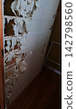 A photo of a shoji screen in a Japanese-style room, severely torn by a cat's claws, exposing the latticework. A photo of a shoji screen in a Japanese-style room, severely torn by a cat's claws, exposing the latticework. 142798560