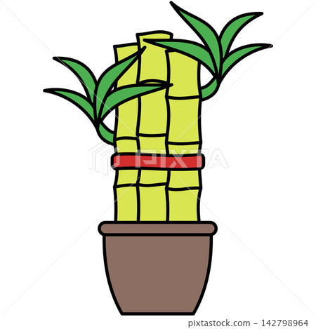 Flat style icon illustration of lucky bamboo plant in pot isolated on transparent background. Colorful graphic design element clip art for Spring Festival assets. 142798964