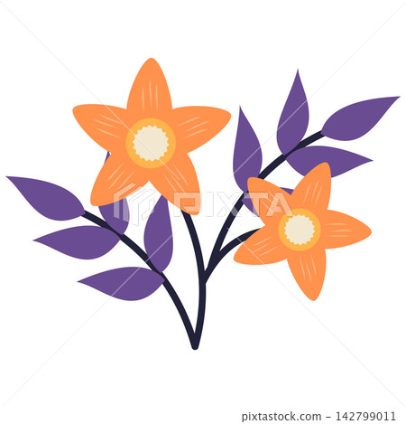 Flat style icon illustration of orange star flowers with purple leaves isolated on transparent background. Colorful graphic design element clip art for stationery letter assets. Flat style icon illustration of orange star flowers with purple leaves isolated on transparent background. Colorful graphic design element clip art for stationery letter assets. 142799011