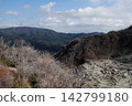 Owakudani, shrouded in white smoke and sulfur. 142799180