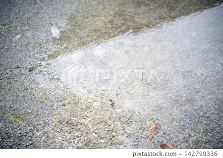 After the rain, puddles, park, gravel path, water surface, autumn rain, September image After the rain, puddles, park, gravel path, water surface, autumn rain, September image 142799336