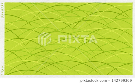 Stylish Japanese paper with a modern twist, featuring traditional Japanese "Musashino" patterns depicted in a woodblock print style. Stylish Japanese paper with a modern twist, featuring traditional Japanese "Musashino" patterns depicted in a woodblock print style. 142799369