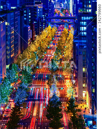 View of Midosuji illuminations View of Midosuji illuminations 142799660