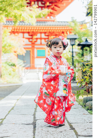 一位身穿和服的女孩前往神社參加七五三祭祀儀式。 一位身穿和服的女孩前往神社參加七五三祭祀儀式。 142799901