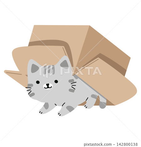 Kitten crawling out of cardboard box for delivery and pet care concept Kitten crawling out of cardboard box for delivery and pet care concept 142800138