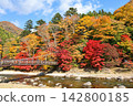 一條河流蜿蜒流過秋葉，一座深紅色的吊橋矗立在鹽原溫泉鄉溫泉度假區。 142800185