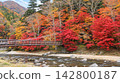 一條河流蜿蜒流過秋葉，一座深紅色的吊橋矗立在鹽原溫泉鄉溫泉度假區。 142800187
