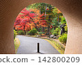 彌彥公園隧道外可見秋葉 142800209