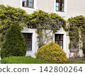 Wisteria Covered Historic Building Facade and Garden 142800264