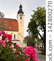 Historic European Church with Clock Tower Framed by Pink Roses 142800270