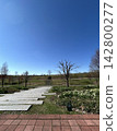 sky, trees and road 142800277