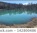 Platinum Blue Pond 142800486