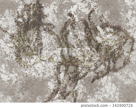 Autumn Plaid Watercolor Background With Hand Painted Lines 142800728