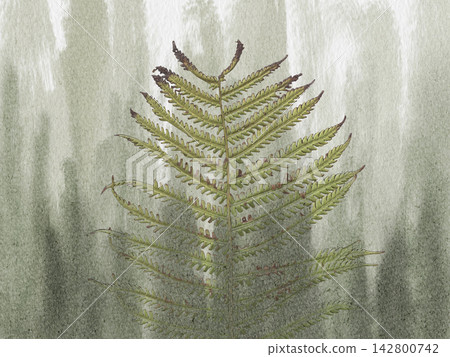 Autumn Plaid Watercolor Background With Hand Painted Lines Autumn Plaid Watercolor Background With Hand Painted Lines 142800742