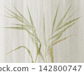 Autumn Plaid Watercolor Background With Hand Painted Lines 142800747