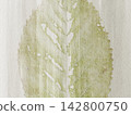 Autumn Plaid Watercolor Background With Hand Painted Lines 142800750