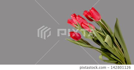 Seven red tulip flowers arranged with green leaves on grey background with copy space. Group blooms placed aside forming banner composition with empty area for text. Floral design concept Seven red tulip flowers arranged with green leaves on grey background with copy space. Group blooms placed aside forming banner composition with empty area for text. Floral design concept 142801126