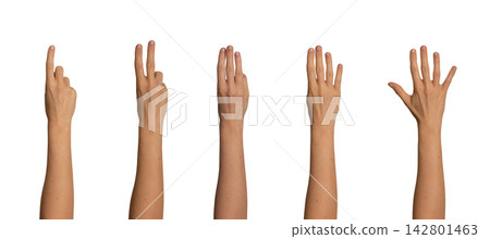 counting five hand counting five hand 142801463