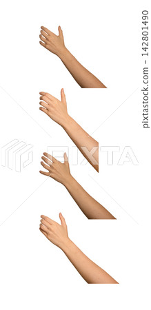 hand hold set hand hold set 142801490