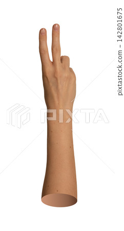 Caucasian hand showing victory or peace sign with two fingers raised. Natural skin arm showing Caucasian hand showing victory or peace sign with two fingers raised. Natural skin arm showing 142801675