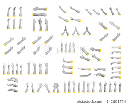Large collection of diverse hand gestures including holding, pointing, thumbs up, rock sign and Large collection of diverse hand gestures including holding, pointing, thumbs up, rock sign and 142801734