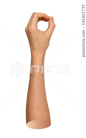 Left female hand making round O shape with curved fingers raised vertically. Human arm grasping Left female hand making round O shape with curved fingers raised vertically. Human arm grasping 142801735