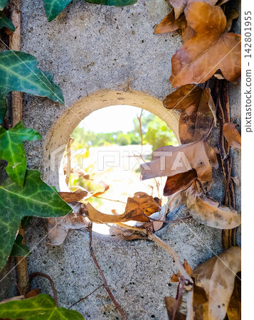 Nobody in this poetic view through a concrete portal revealing a sunny landscape, framed by contrasting green and dry ivy leaves. A powerful metaphor for life, hope, and change. Nobody in this poetic view through a concrete portal revealing a sunny landscape, framed by contrasting green and dry ivy leaves. A powerful metaphor for life, hope, and change. 142801955