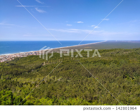 Breathtaking aerial view of a lush green forest meeting the vast blue ocean under a bright sky. This serene coastal landscape evokes freedom, peace, and tranquility. Nobody. Breathtaking aerial view of a lush green forest meeting the vast blue ocean under a bright sky. This serene coastal landscape evokes freedom, peace, and tranquility. Nobody. 142801964