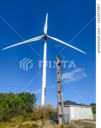 A majestic wind turbine towers under a bright blue sky next to a power pole, symbolizing a hopeful transition to clean, sustainable green energy. Nobody is in this ecofriendly landscape. A majestic wind turbine towers under a bright blue sky next to a power pole, symbolizing a hopeful transition to clean, sustainable green energy. Nobody is in this ecofriendly landscape. 142801967