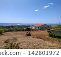 Enjoy tranquility with this scenic view of a rural house overlooking the blue ocean on a sunny day. A peaceful country landscape perfect for travel concepts. Nobody is in the scene. 142801972