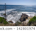 Experience serene solitude in this sunny coastal landscape, where wild ocean waves crash against rugged beach rocks under a clear blue sky. Perfect for travel designs. Nobody. 142801974