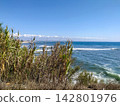 A peaceful coastal view under a bright blue sky, with wild green reeds framing the beautiful ocean waves on a sunny day. This serene landscape offers a sense of ultimate escape. Nobody. 142801976