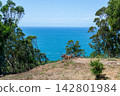 Breathtaking coastal vista of the deep blue ocean framed by vibrant green trees under a clear sunny sky. This serene, natural landscape with nobody evokes peace and freedom. 142801984