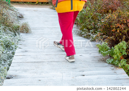 Curvy woman hiking on wooden boardwalk covered in frost. Plus size girl walking in autumn park during morning. Active lifestyle, body positivity and outdoor nature exploration concept. Curvy woman hiking on wooden boardwalk covered in frost. Plus size girl walking in autumn park during morning. Active lifestyle, body positivity and outdoor nature exploration concept. 142802244