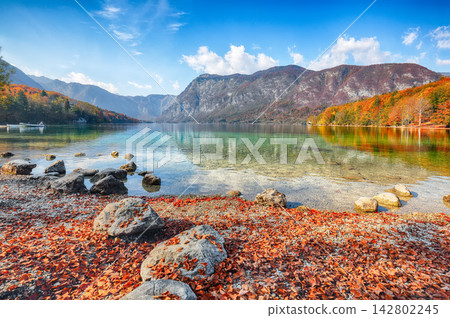 Astonishing view of Bohinj Lake with boats during autumn. Astonishing view of Bohinj Lake with boats during autumn. 142802245