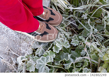 Woman wearing modern sneakers standing on ground covered with morning frost. Top view of feet in footwear near frozen green grass. Winter seasonal change and cold climate concept weather. 142802249