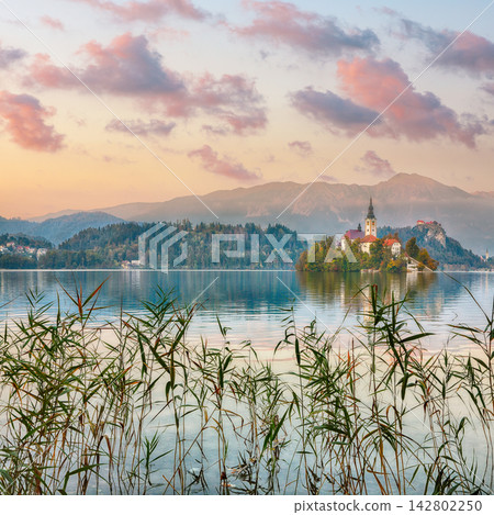 Remarkable sunset view of popular tourist destination Bled lake. Remarkable sunset view of popular tourist destination Bled lake. 142802250