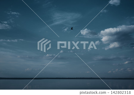 Calm blue waters beneath dramatic cloud filled skies, with a lone seabird in flight and a distant shoreline, creating a highly serene atmospheric landscape with ample copy space for travel and design. Calm blue waters beneath dramatic cloud filled skies, with a lone seabird in flight and a distant shoreline, creating a highly serene atmospheric landscape with ample copy space for travel and design. 142802318