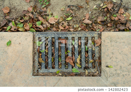 Metal drainage grate clogged with dry autumn leaves on concrete ground 142802423