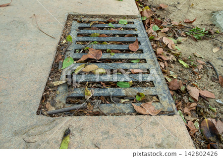 Metal drainage grate clogged with dry autumn leaves on concrete ground Metal drainage grate clogged with dry autumn leaves on concrete ground 142802426