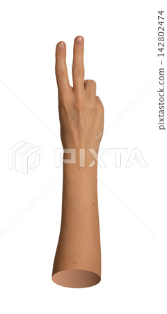 Tanned right hand raised vertically displaying victory V sign. Natural skin arm posture showing Tanned right hand raised vertically displaying victory V sign. Natural skin arm posture showing 142802474