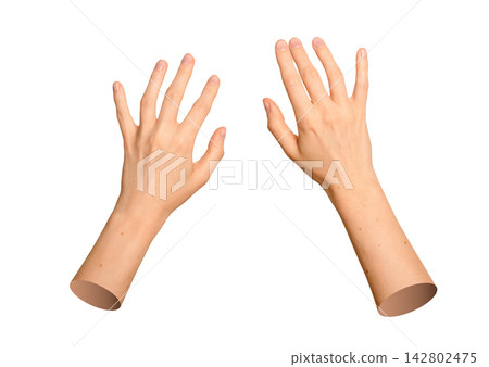 Top down perspective of two caucasian hands typing on empty space. Natural skin limbs setup for Top down perspective of two caucasian hands typing on empty space. Natural skin limbs setup for 142802475