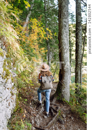 Woman with backpack hiking outdoors in the Forest. Trekking in the Pine Woods. Hiking lifestyle Woman with backpack hiking outdoors in the Forest. Trekking in the Pine Woods. Hiking lifestyle 142802544