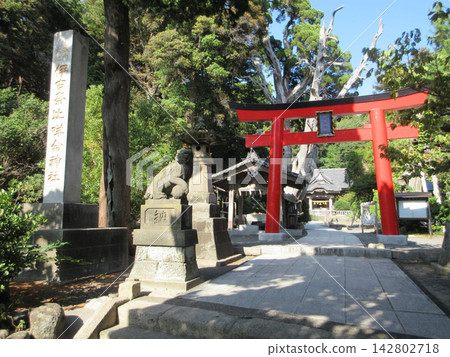 白濱神社的鳥居與神社名牌!靜岡縣下田市 白濱神社的鳥居與神社名牌!靜岡縣下田市 142802718