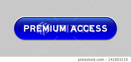 Blue color capsule shape button with word premium access on gray background Blue color capsule shape button with word premium access on gray background 142803210