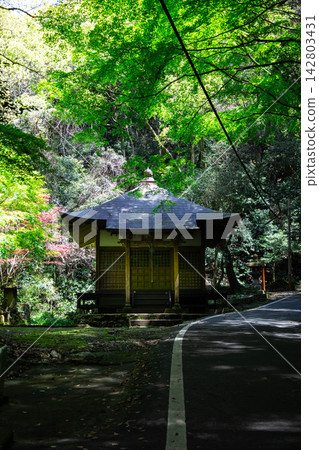 Shrine 1 Shrine 1 142803431